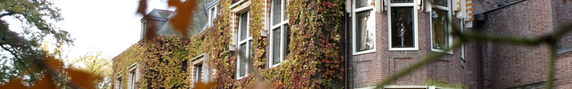 cover-image