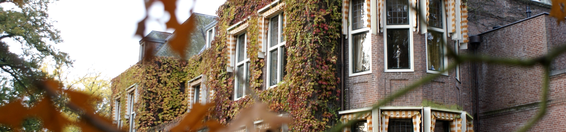 cover-image