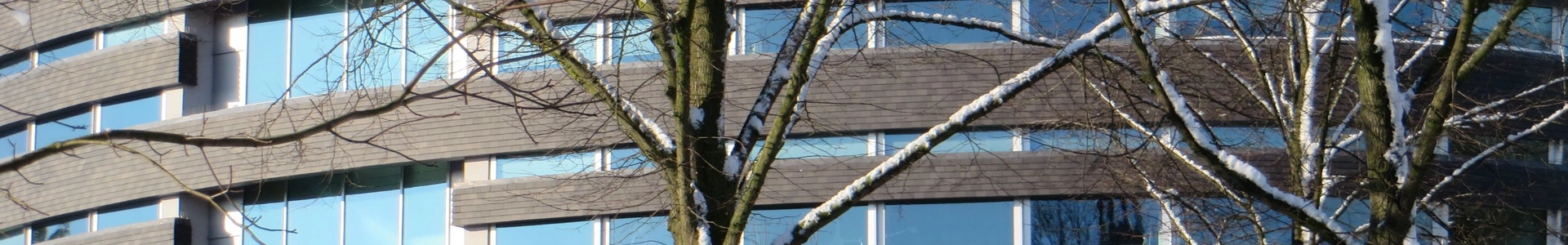 cover-image