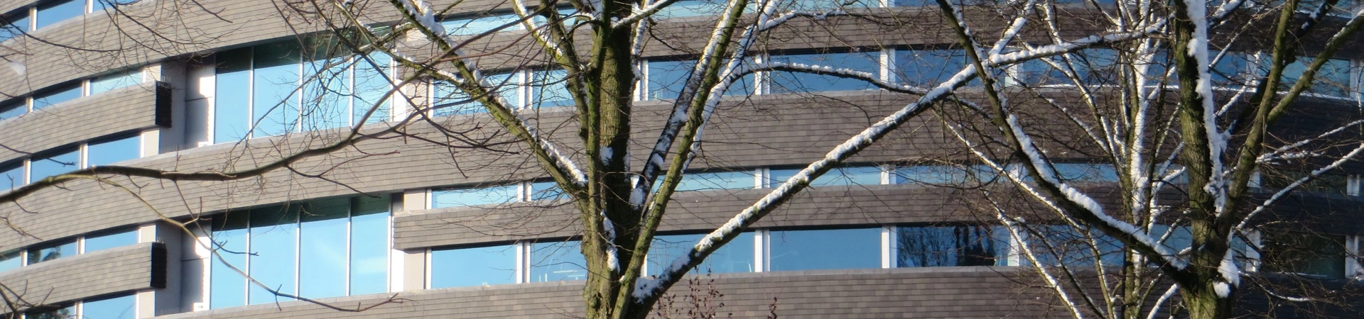 cover-image